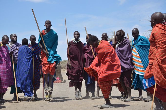 
La danza tipica dei Masai non prevede strumenti musicali: è un coro di base con suoni sincopati che accompagnano, ad un ritmo via via crescente,  i salti  a turno degli uomini (guarda il video).
