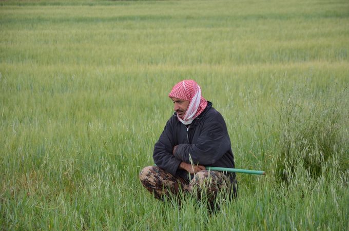 un pastore  giordano, riconoscibile per la kefiah bianca e rossa (quella con i colori  bianco e nero è invece propria della gente palestinese). L'allevamento costituisce una delle principali attività del paese, insieme all'artigianato