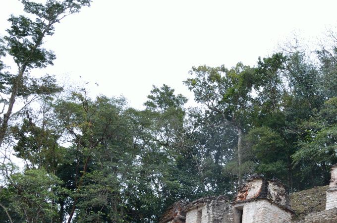 Templo del las Pinturas, su uno dei lati della Gran Plaza di Bonampak: deve la sua notorietà agli affreschi dai colori intensissimi custoditi all'interno del Tempio (Edificio 1)