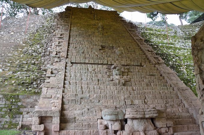 Escalinata Jeroglifica, Copan (Honduras)