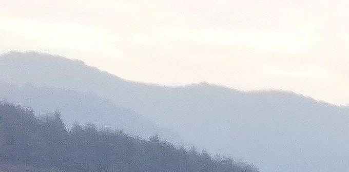 Bwindi Impenetrable Forest